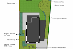 ontwerp-natuurlijke-grassentuin-1